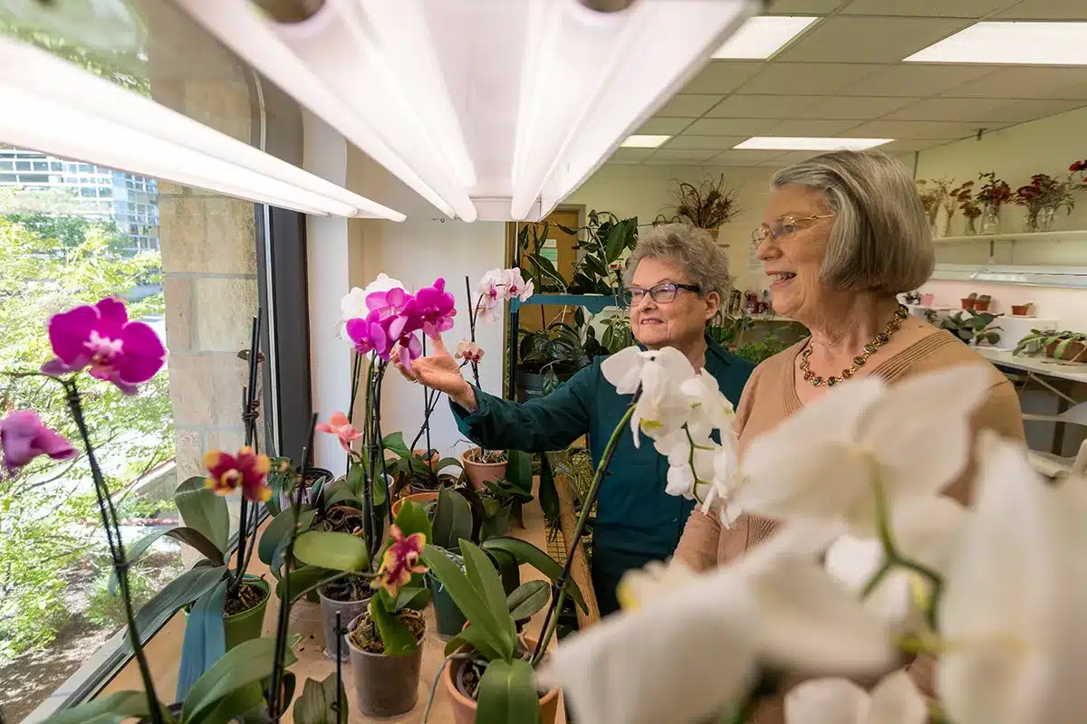 Two Charter House residents caring for some plants