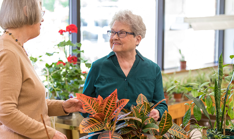 Senior Residents In Green House With Plants